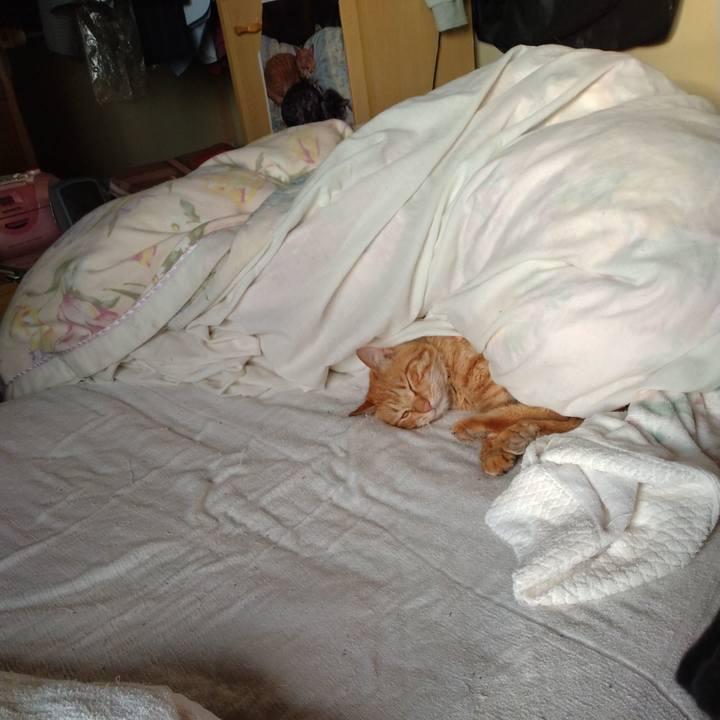 D7c08803 82d0 4c5f 9a59 67e9bc888a9b 1687731991064