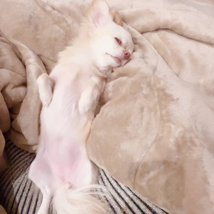 D7c08eb3 78d7 4bfe baea 297b797af4c7 1692621205776