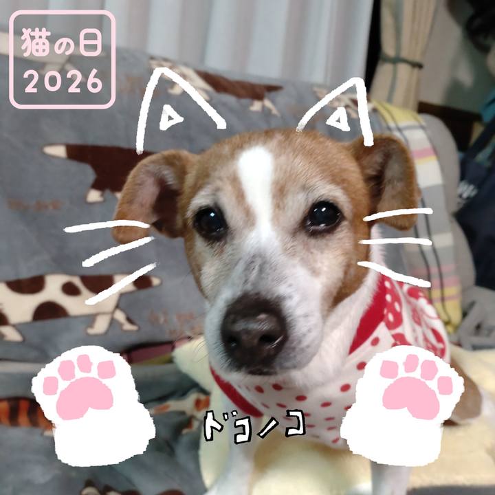 D7c0c63f a594 45a5 8ca9 b3c1193683bc 1771757008372