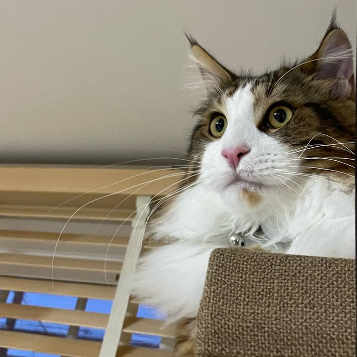 D7c0e9f9 a0c8 4444 9546 39884d503e65 1645304567518