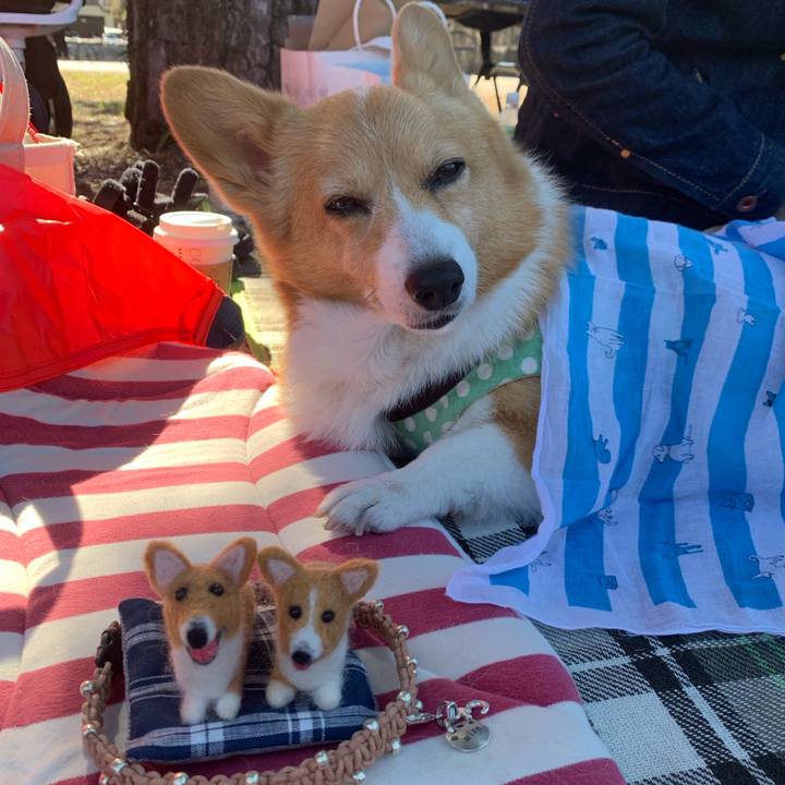 D7c10a57 3857 47d4 b5d2 2acc247e8509 1571359136173