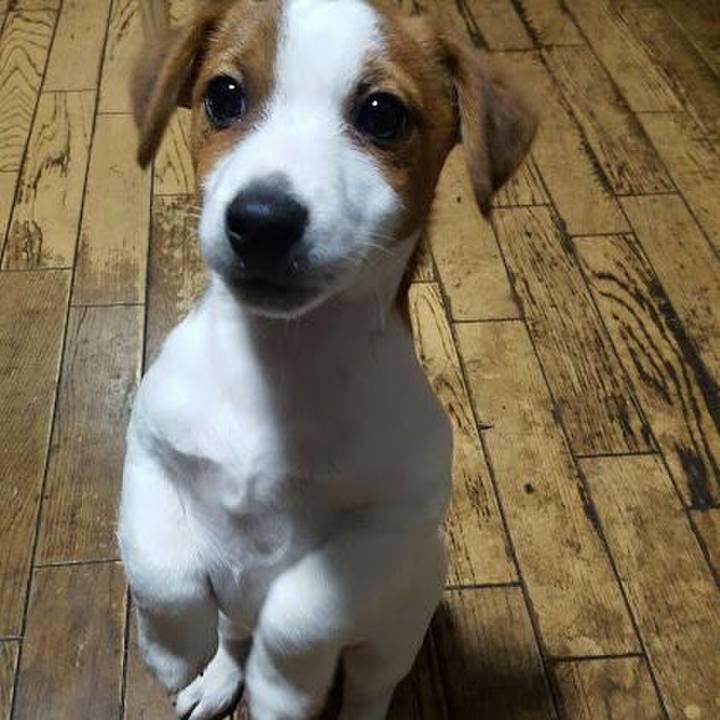 D7c11e33 c737 4190 b859 01559d44a99f 1550656454669