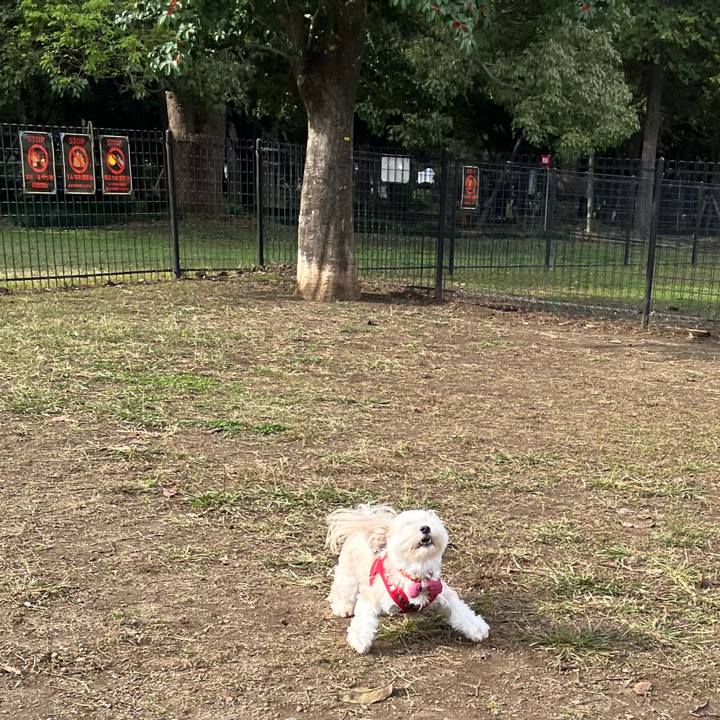 D7c12e6b 3b16 4546 906c 849d702b6296 1762057727648