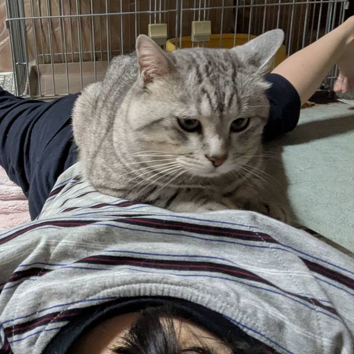 D7c144cc 4212 421a 8cdb a155582eb99e 1751205852202