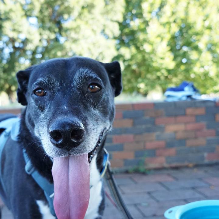 D7c156b2 247a 4864 8dc2 83c286b1eba3 1757116488551