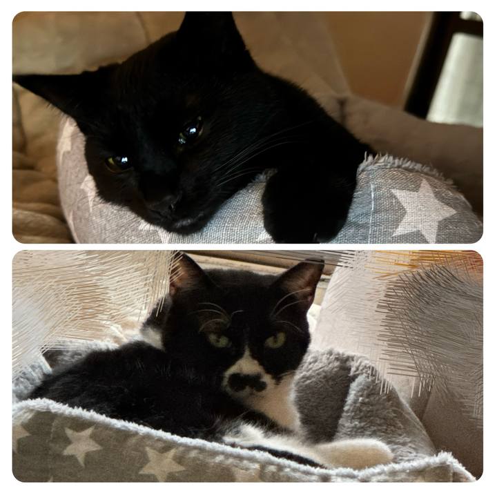 D7c18ad2 19a4 45d0 bec2 e63dd52d9a35 1743084460649