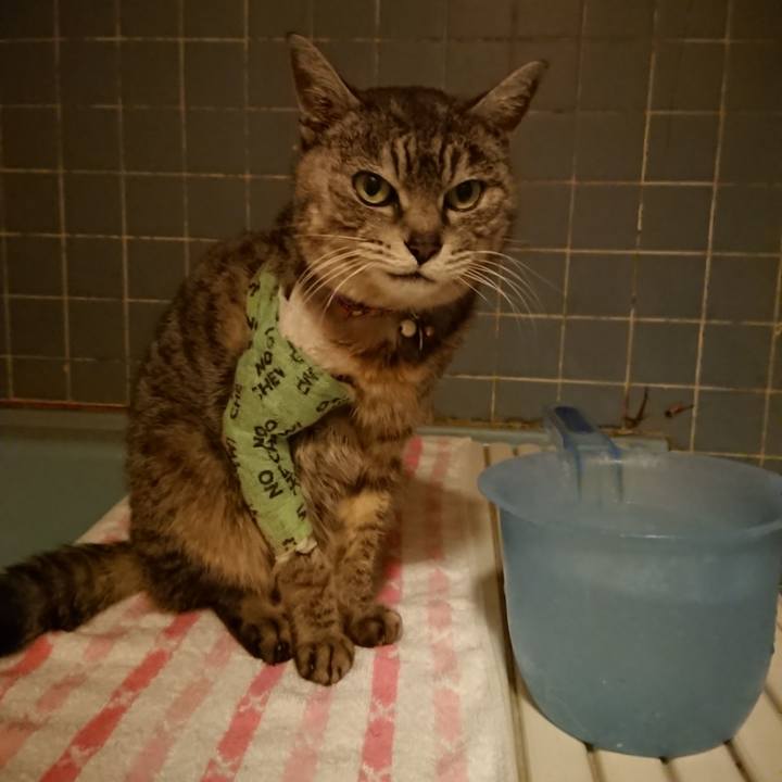 D7c1b895 84e2 44a2 959a 1dd3f0d15bc3 1587378917969