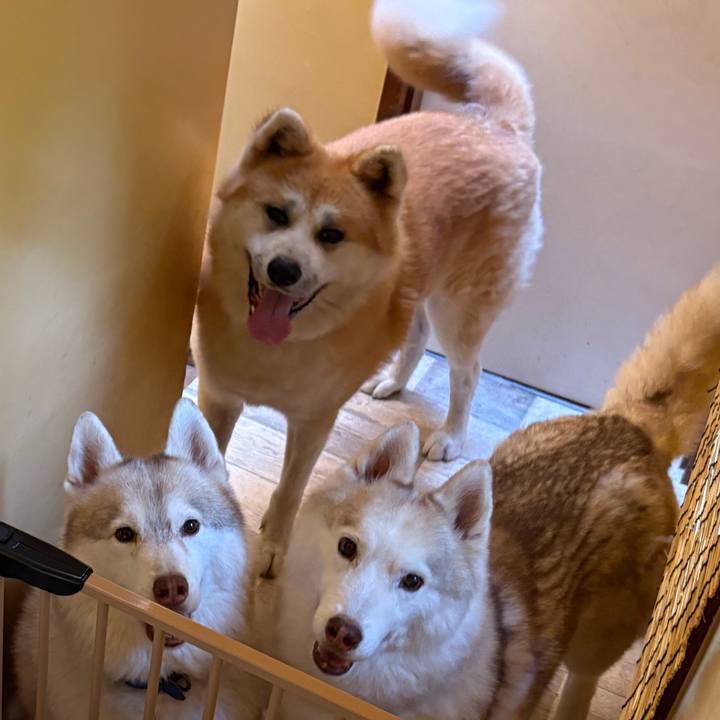 D7c1bc64 5b37 40cb aca0 dffa3264fca2 1759124062956