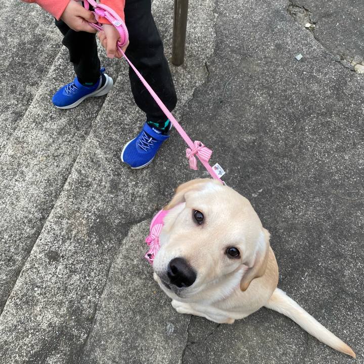 D7c1c362 0ee6 450e 9200 3a1ac3c8e476 1615597785265