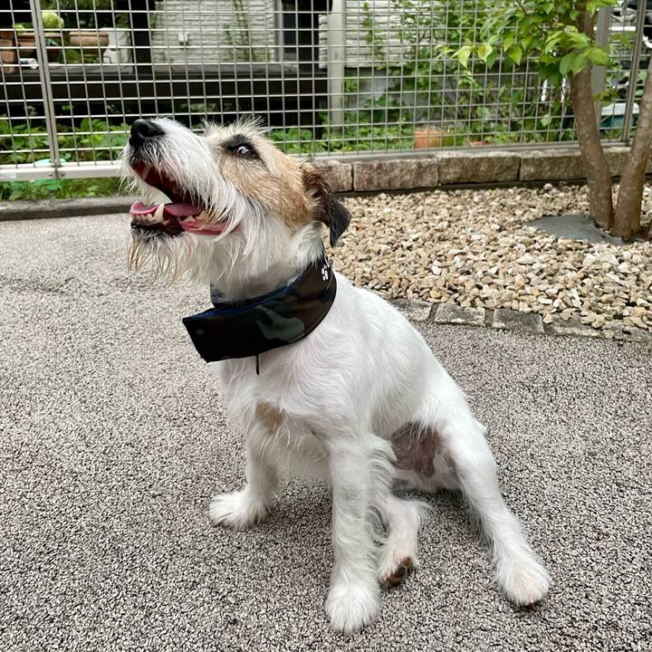 D7c1c515 ce95 4350 8b98 0eec33158cfe 1656846368331