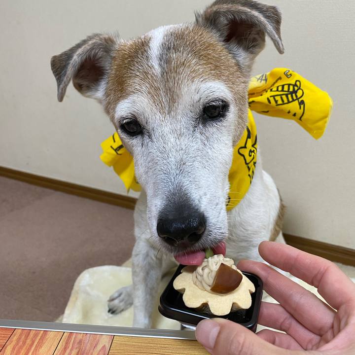 D7c1c83f a4eb 48b2 ae81 227850e50d40 1633261063460