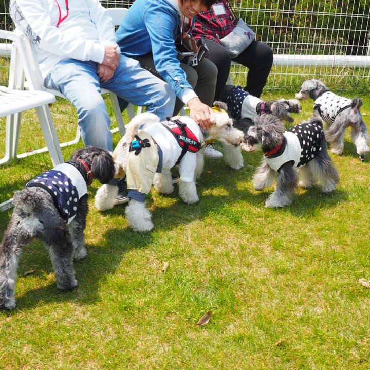 D7c1d4e7 39f7 45d9 af14 4b3d4d4bf388 1554640882583