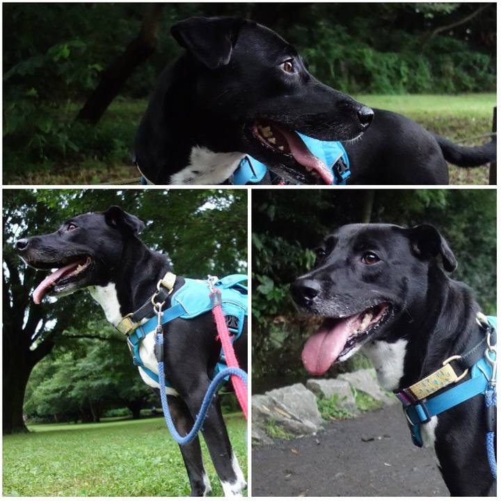 D7c20d9b 6f1f 4b4c 936c dfcbbb208bf3 1625481252902