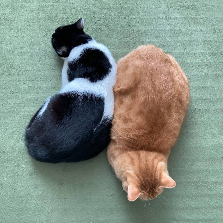 D7c22edf e133 48a6 a053 99a2bd9906d6 1769382715426