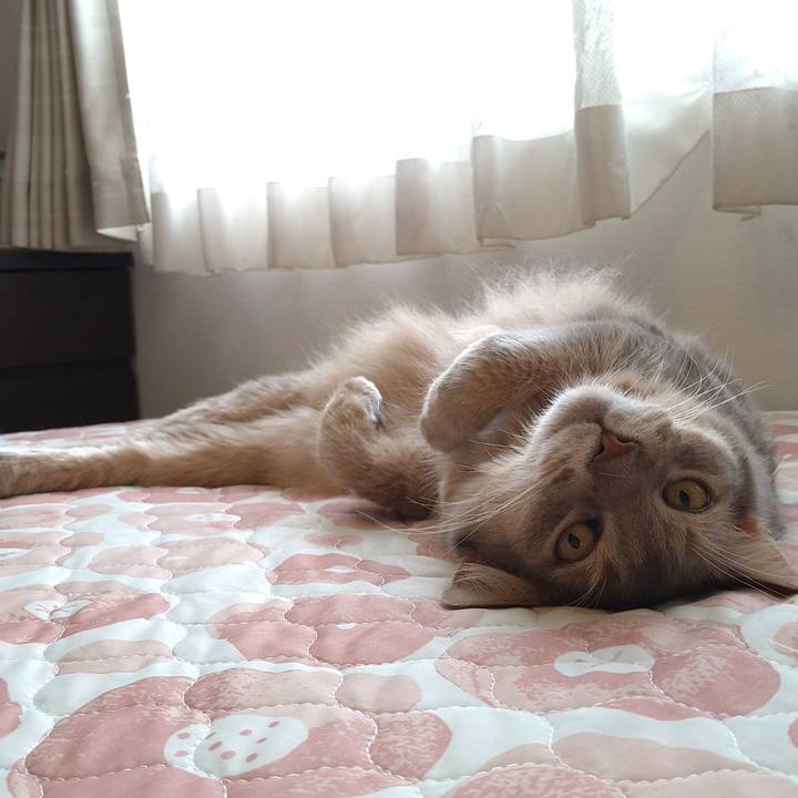 D7c2329b 6707 4a73 91a6 b604779f6b99 1626147753733