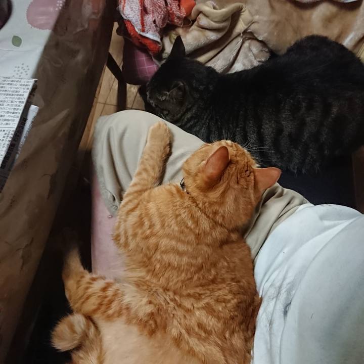 D7c25299 c453 430f 8357 d666fc44a0a1 1659604992537