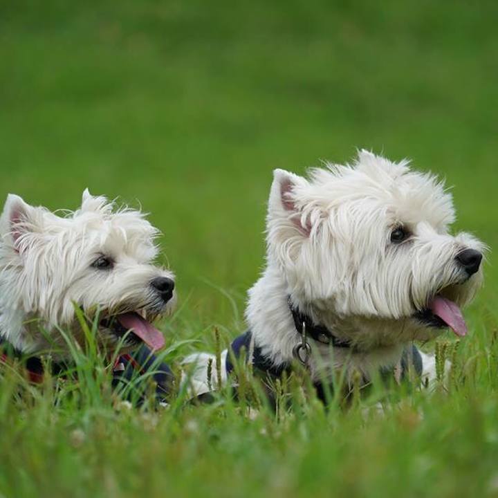 D7c25ac3 f027 46c3 98d8 9b5c4b42c8fc 1530710269082