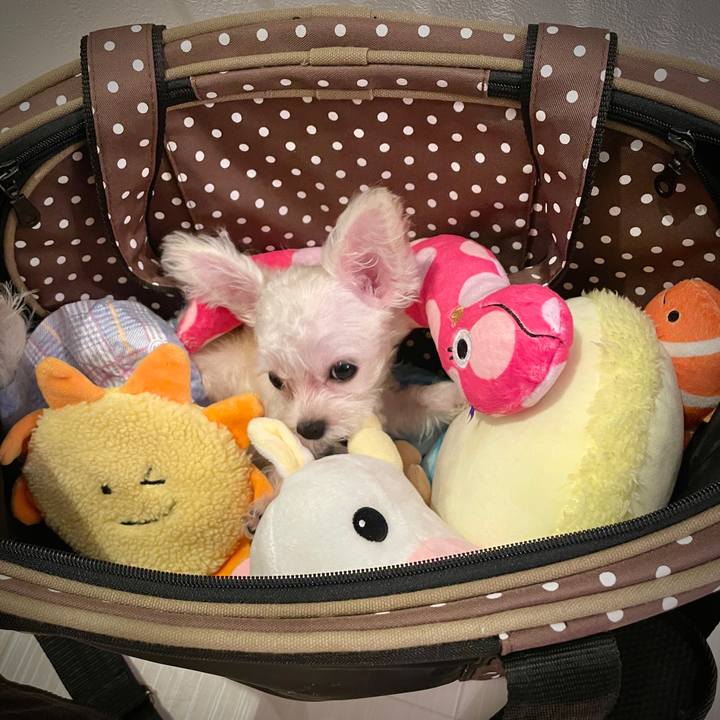 D7c25b8f fbea 4981 bb0e 135151cf2f78 1631083968713