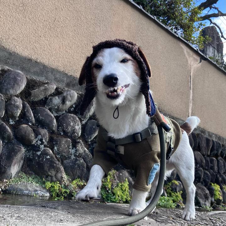 D7c294b8 8ca1 4d6f a980 f228c12f99ae 1767439071309