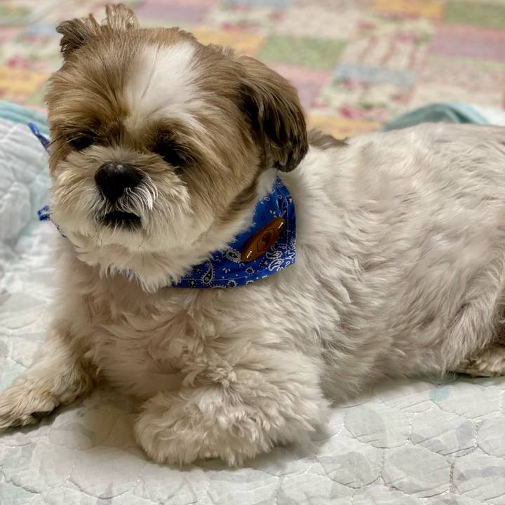 D7c2b836 0592 4b4d 856b c5ddc79e25b4 1632893307614