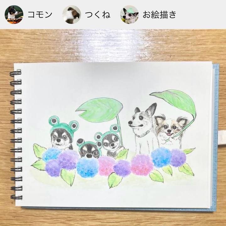 D7c2da0a dfb4 46df ad48 5a1bfd97ee28 1687850973888