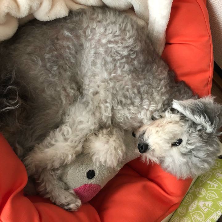 D7c2eca2 87f5 4aa1 bbb4 a783d529d909 1538977519814