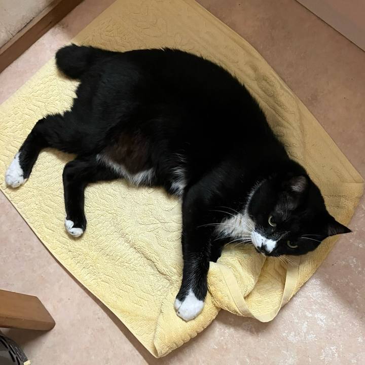 D7c2fdcf 0071 4230 9a8b 85e6df732ba0 1765252045464