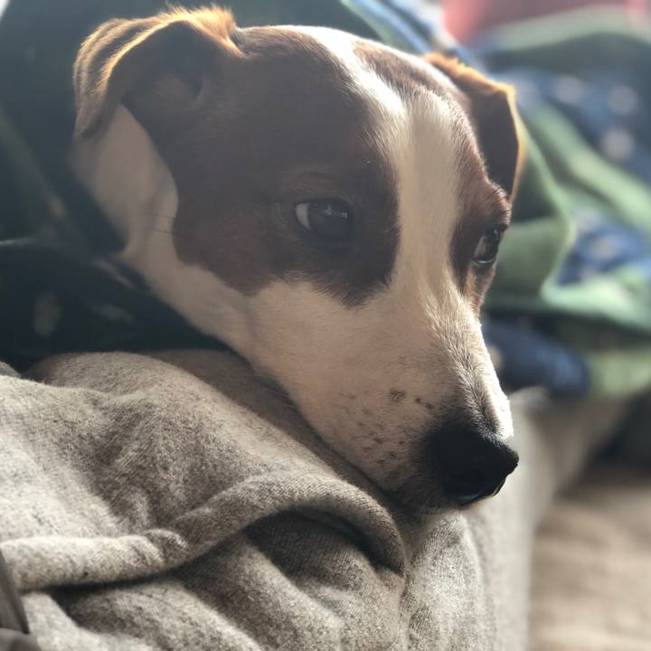 D7c314e8 919b 4e65 b5df cdc5f9bb4de4 1547797022904