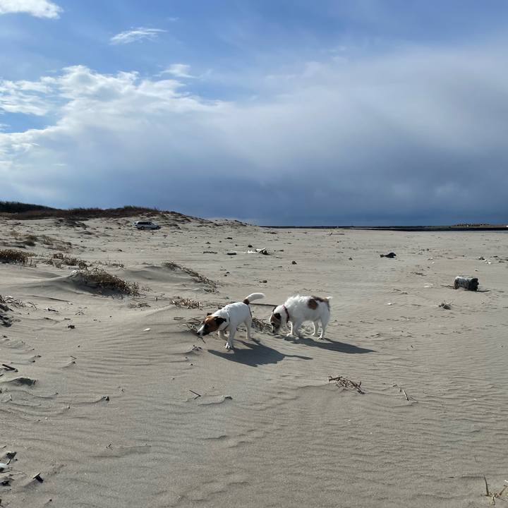 D7c35105 674b 4464 b572 fd36ec3d5e6b 1771418060338