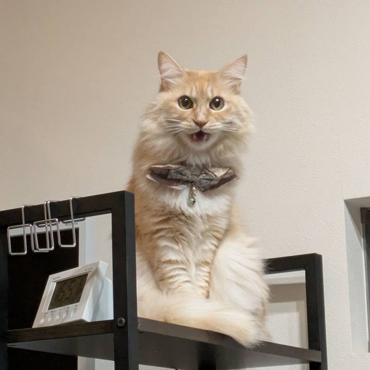 D7c35cda 50ec 4b3e a4a5 0704c78714e5 1735895038211