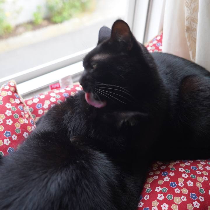 D7c37244 cb75 42dc 93c9 66551ae4d94a 1601206390205