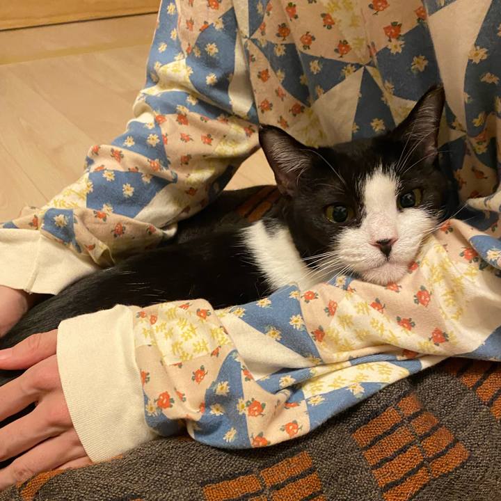 D7c39b72 1413 4d5a 86d8 53d55b01ef98 1767189355950