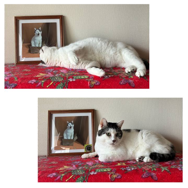 D7c3bdad fdcd 41b0 b8d4 7defc7810363 1765407009049