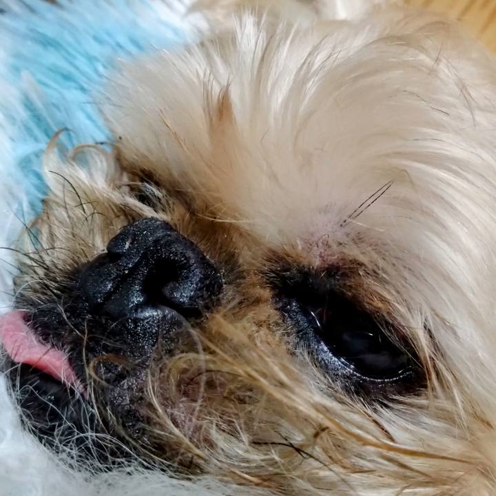 D7c3ca6b 50e7 4af0 9a09 09010679b60b 1680360280398