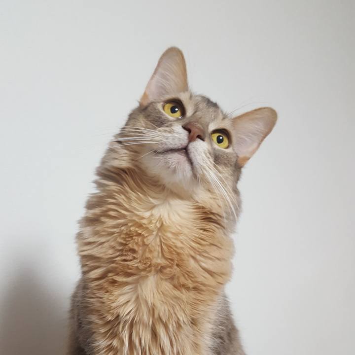 D7c3d170 ca4c 4400 8a7b 51039b30ea3a 1580473548642