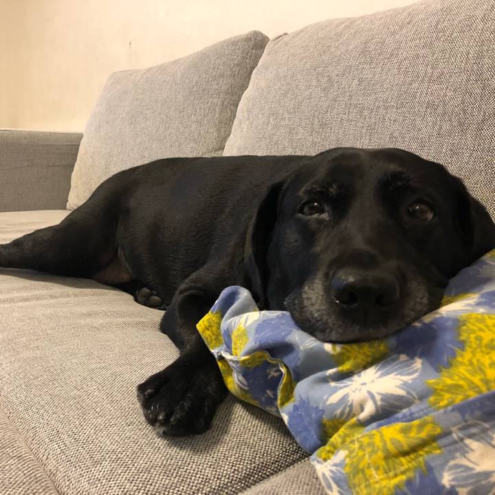 D7c3e81e 2a81 4499 921c fba5a08b9386 1529799776534