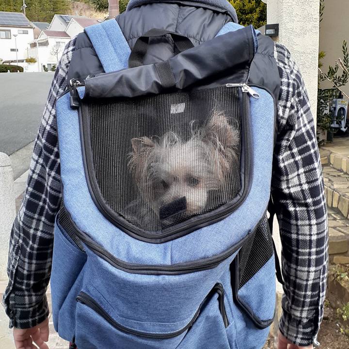 D7c40719 7fa8 4116 87e5 752f75a7f291 1582081718728