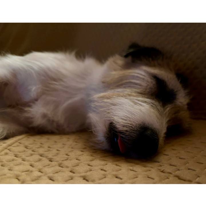 D7c44255 7627 4a8e 87b0 6382a3165a3f 1727101563492