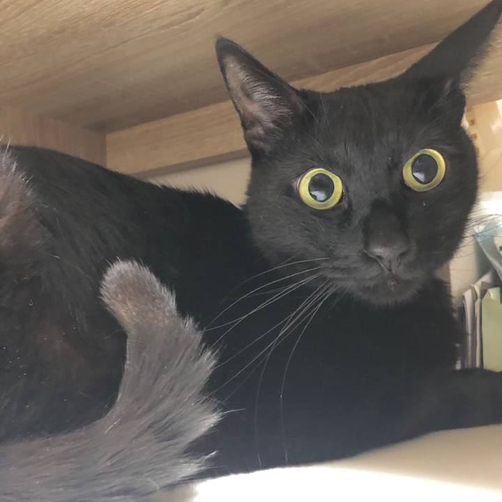 D7c4708c c200 4458 8bba 84502f31adcd 1619354331678