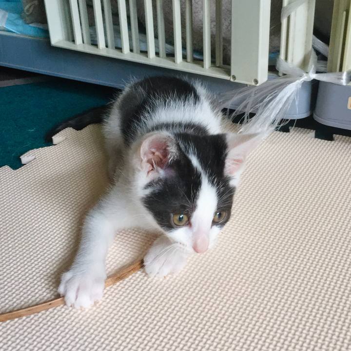 D7c47a60 7bfc 4e8c b186 35c2d392dc59 1625905449683