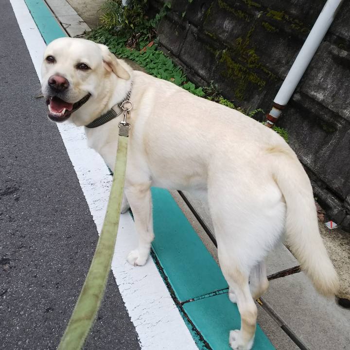 D7c47e41 9456 463c a8e2 df40f666c3b5 1535083746451