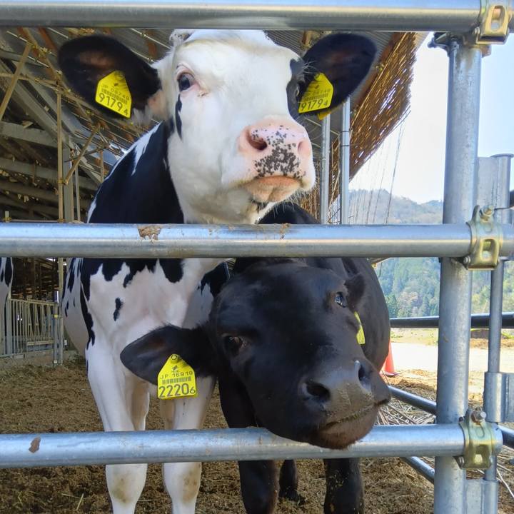 D7c4856f 4951 48db bb75 07c5d1ed204f 1714046097831