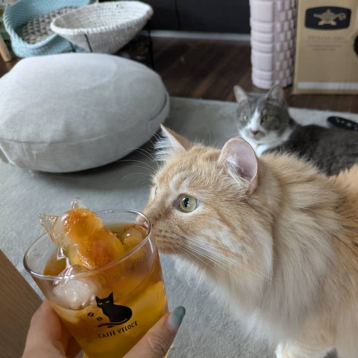 D7c52ec7 d745 4ad6 9d6c 523d0e7850cc 1751853810865