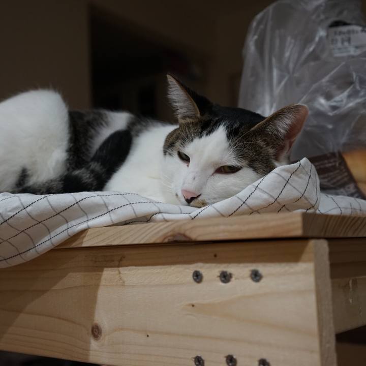 D7c69ceb 8824 42b8 bce5 5aba696bf71b 1510098120173