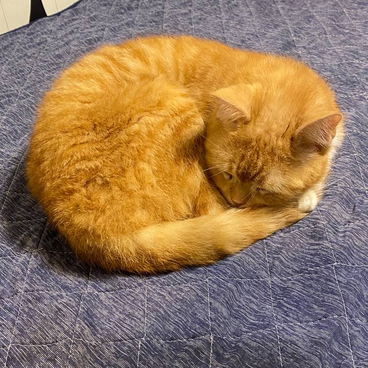 D7c69efe 3377 4f0b 9316 0d819d63a460 1601414081441