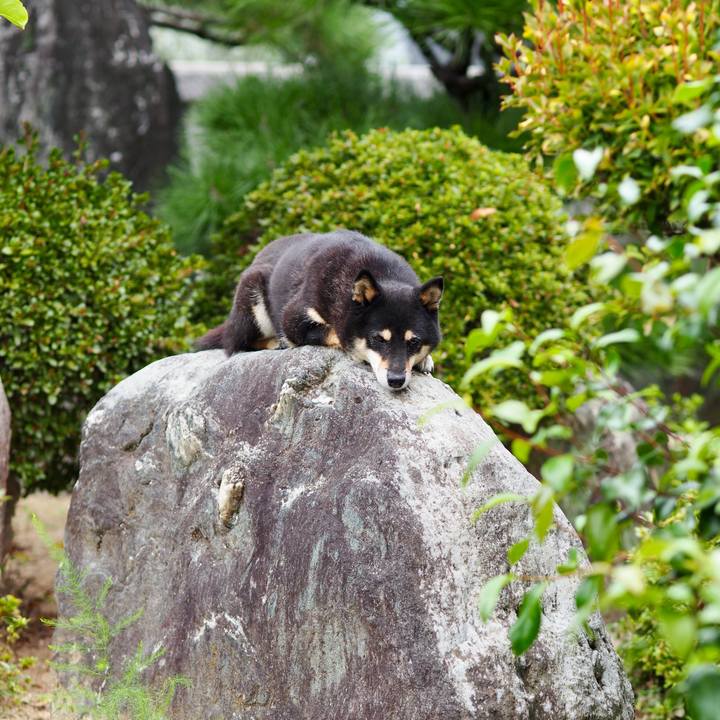 D7c6de25 7ce2 4b18 b94f 31761d524a48 1760252306793