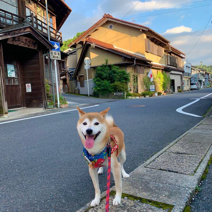 D7c7073d 11de 47b2 b49f fb30b20c9bbe 1632126559034