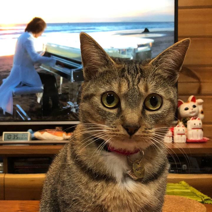 D7c708a7 aefb 4678 bfb8 3fde3b7db5bf 1609422236400