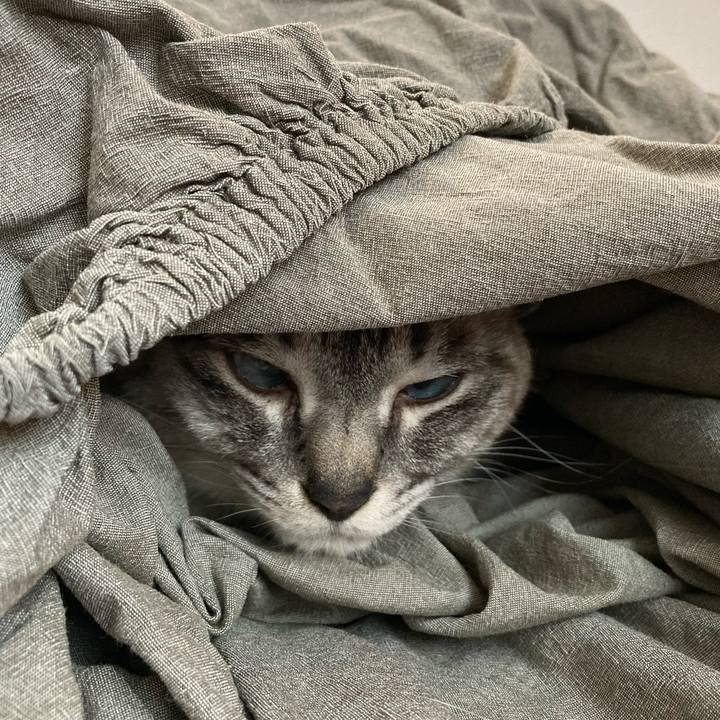 D7c73f65 f8ac 4ed8 804e ebfeb49403e2 1648345504210