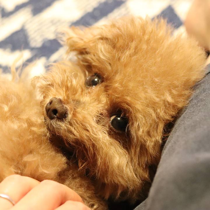 D7c75b92 7bbc 4461 bc6d d59542da4bc9 1566485113137